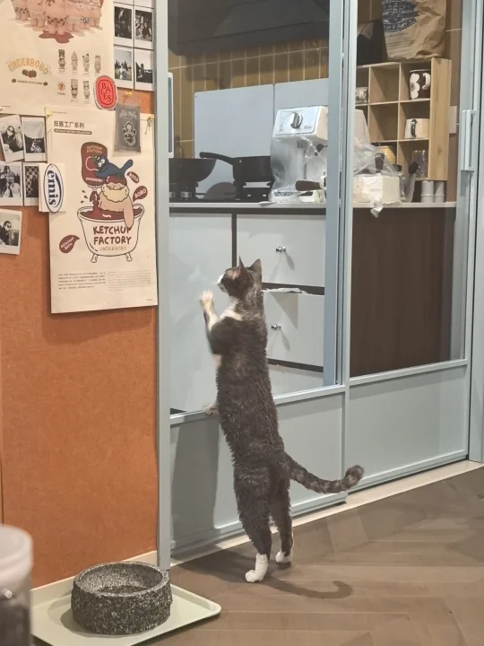 德文天生饿死鬼