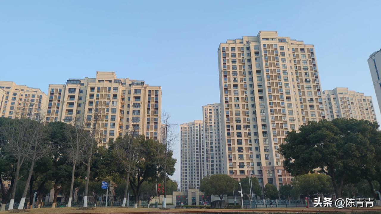 今年春天最想实现的心愿趁春暖花开，又不想去远，看苏州有名的花海。