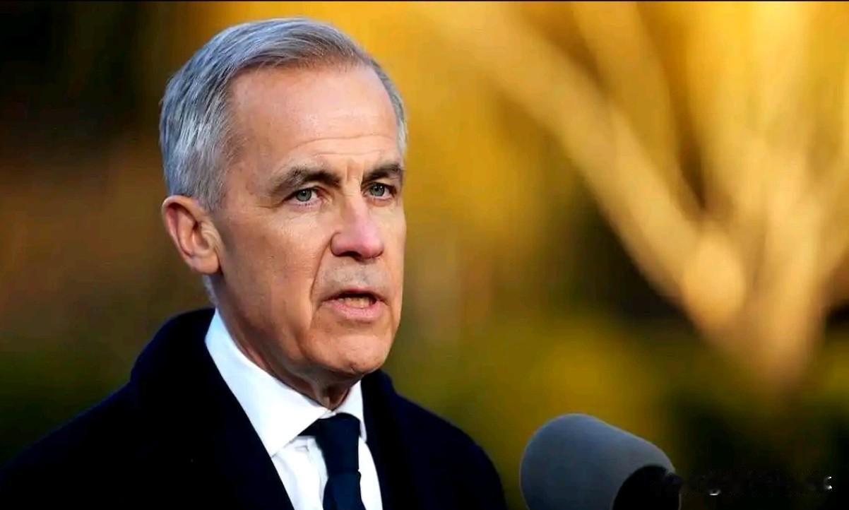 加拿大总理马克·卡尼在卡塔尔多哈抛出“若美国入侵格陵兰岛，加拿大将视作对己攻击并