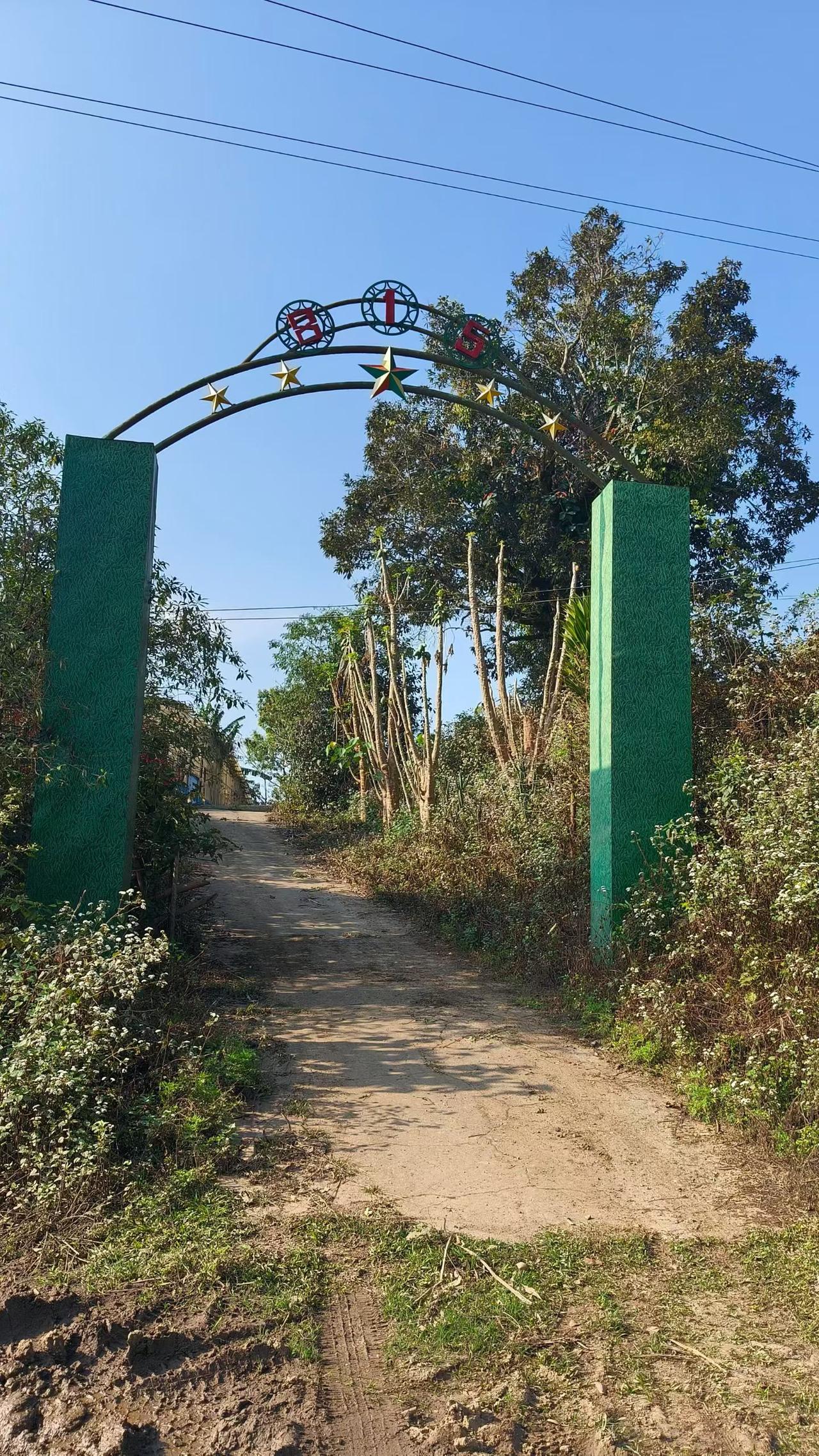 茶叶采摘期记录