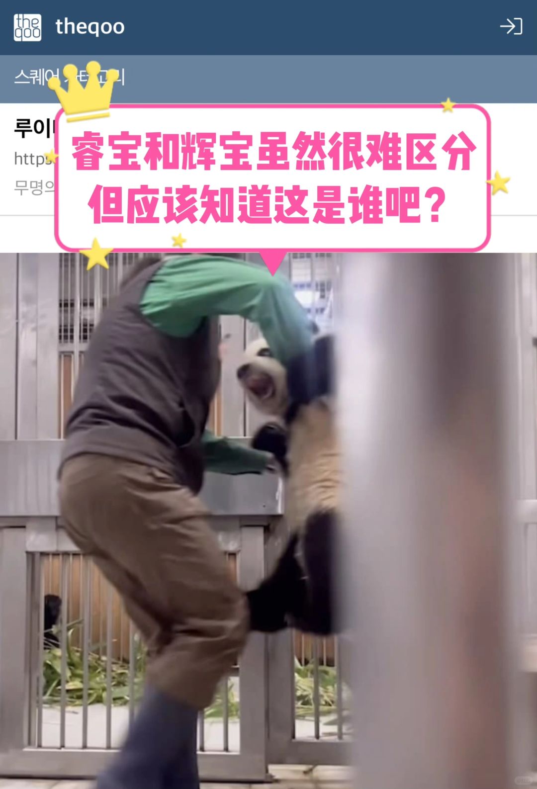 🔥热帖｜睿宝or辉宝？但都应该知道这是谁吧？