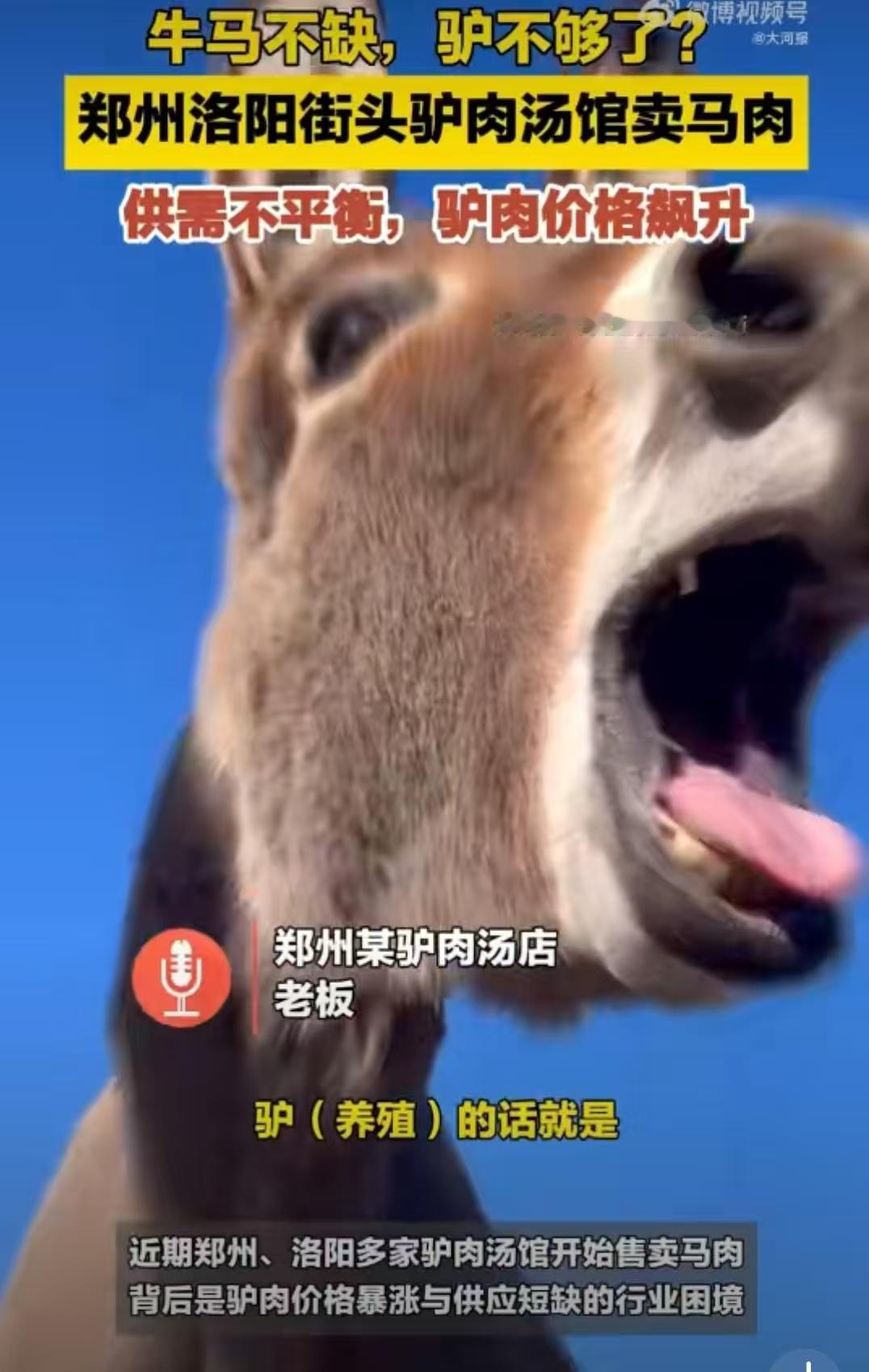 河南多家驴肉汤店卖马肉，作为喜欢喝驴肉汤的我来说，这真的是要哭晕在厕所了。
看到
