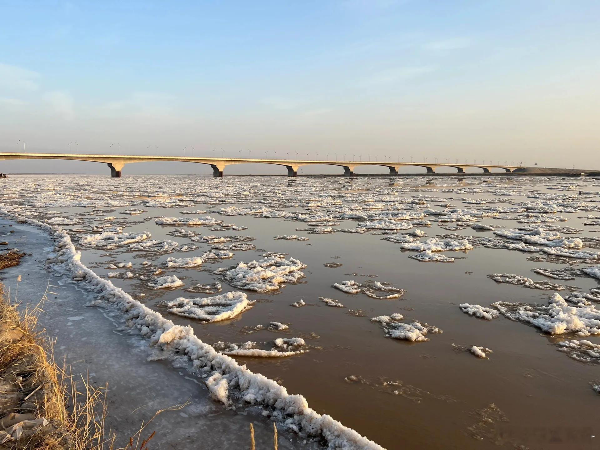 #沉浸式体验黄河开河壮观景象# 近日，黄河包头段开河，从空中俯瞰，流凌顺流而下，