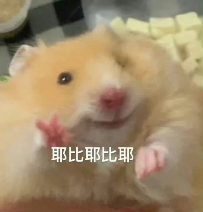 今天上午把送卷夫的礼物买好了，可以安心看短剧了