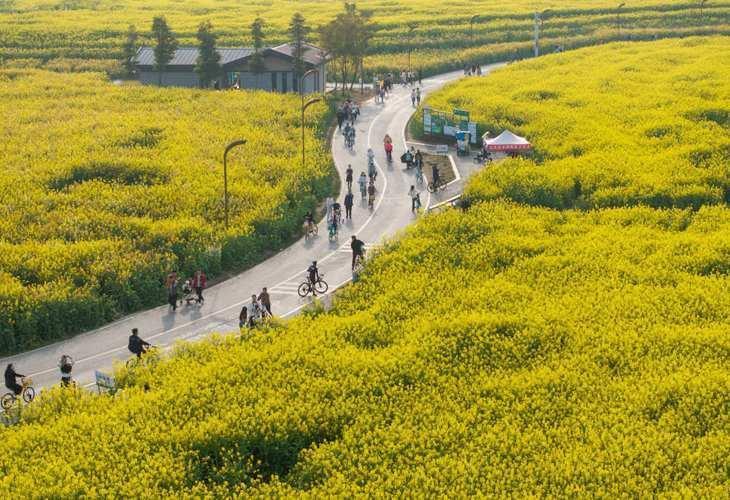 大地绮章

大地悠悠剧场
黄黄黄煌煌敬仰
绿野蔓延着俏俏模样
飒飒瑟瑟风伴唱
山