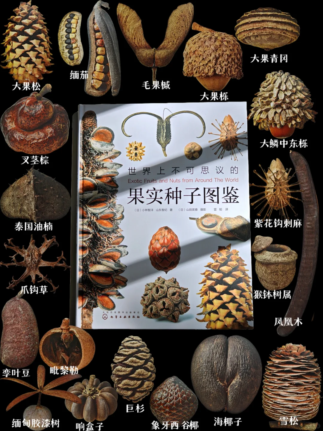 这本书图片的高、精、细让人震撼，绒毛可见