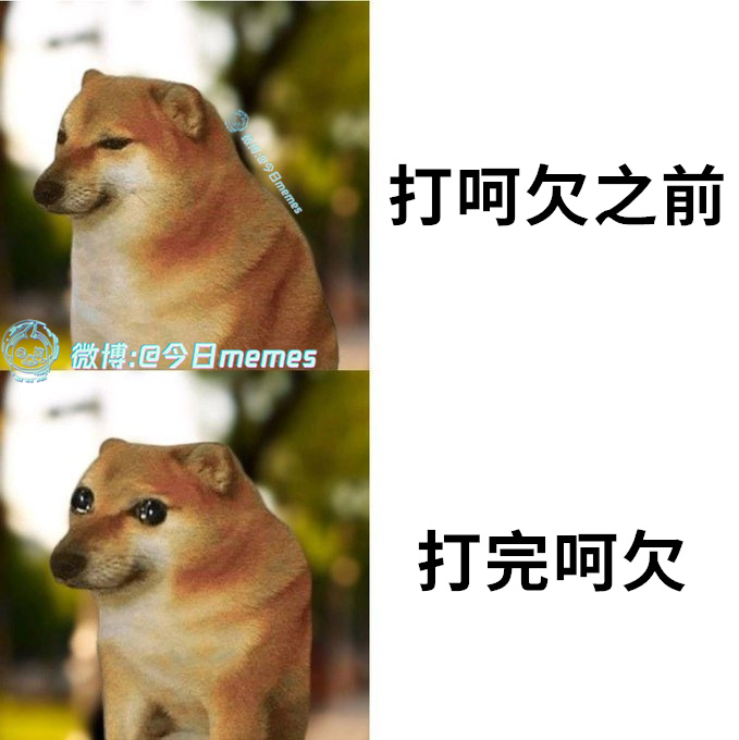 水汪汪喔（9gag）今日meme今日memes