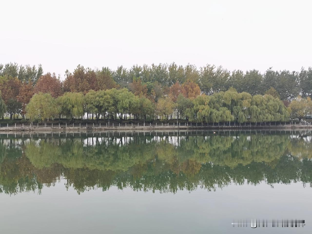 北方的冬日是宁静的，
静的连河面也懒得流动，
静的路面都感到寂寞。
