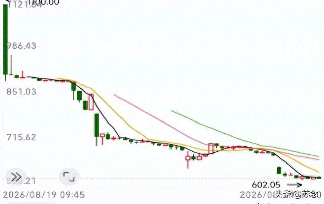 宇树科技高开低走，再创新低，今天跌到了450，它的底在哪里？