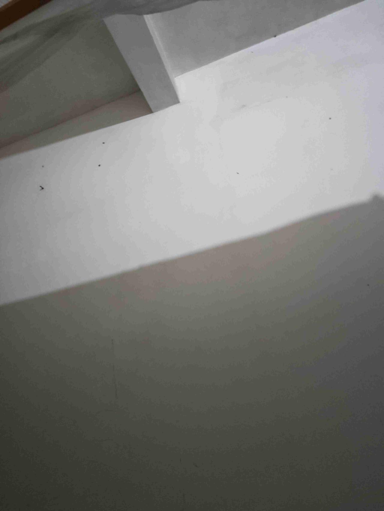 我的今日状态：😁轻松愉快
我这里的天气：☀️晴天