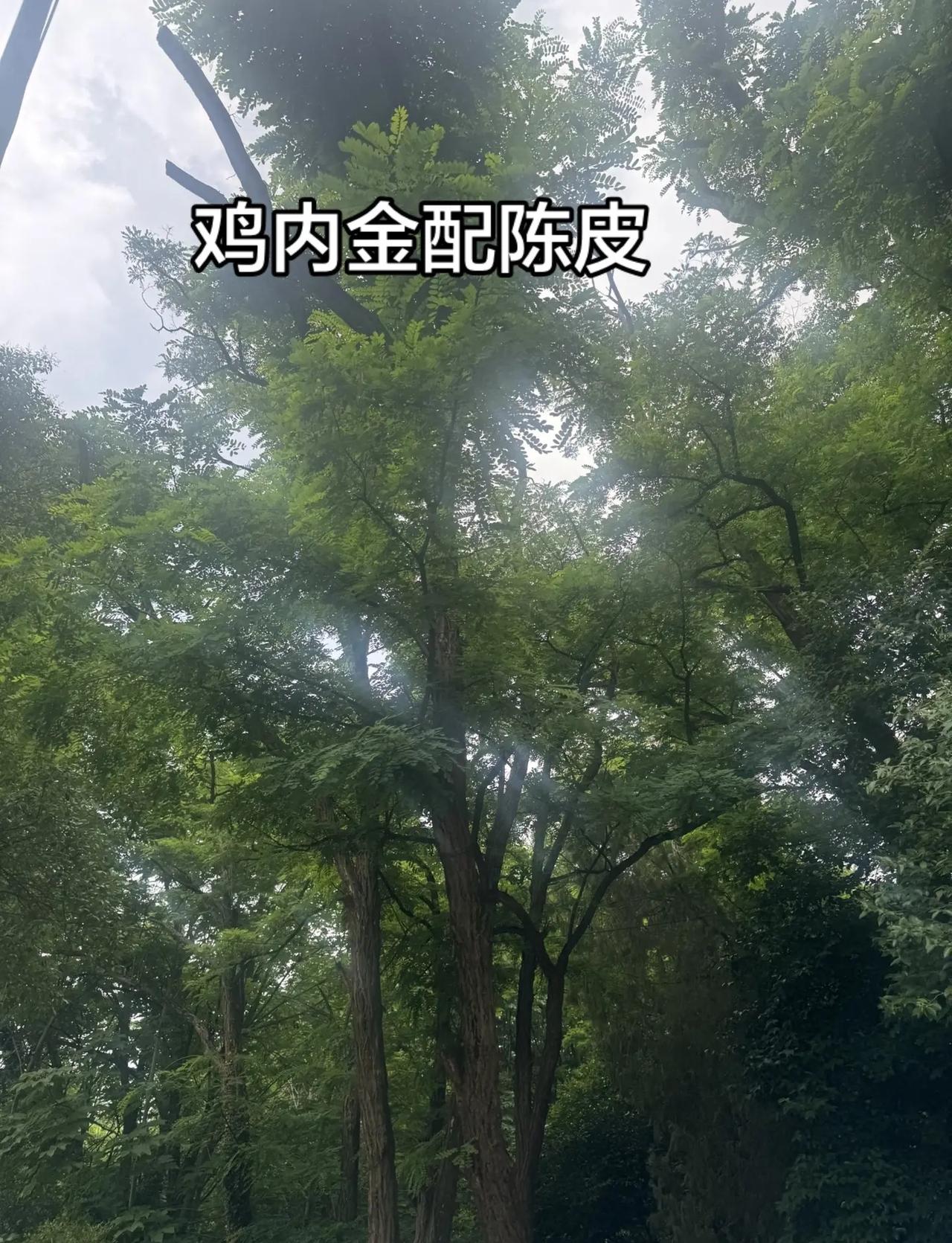 新王登基！吴宜泽改写斯诺克世锦赛历史，第一位00后冠军出炉！决赛绝杀墨菲锁定冠军