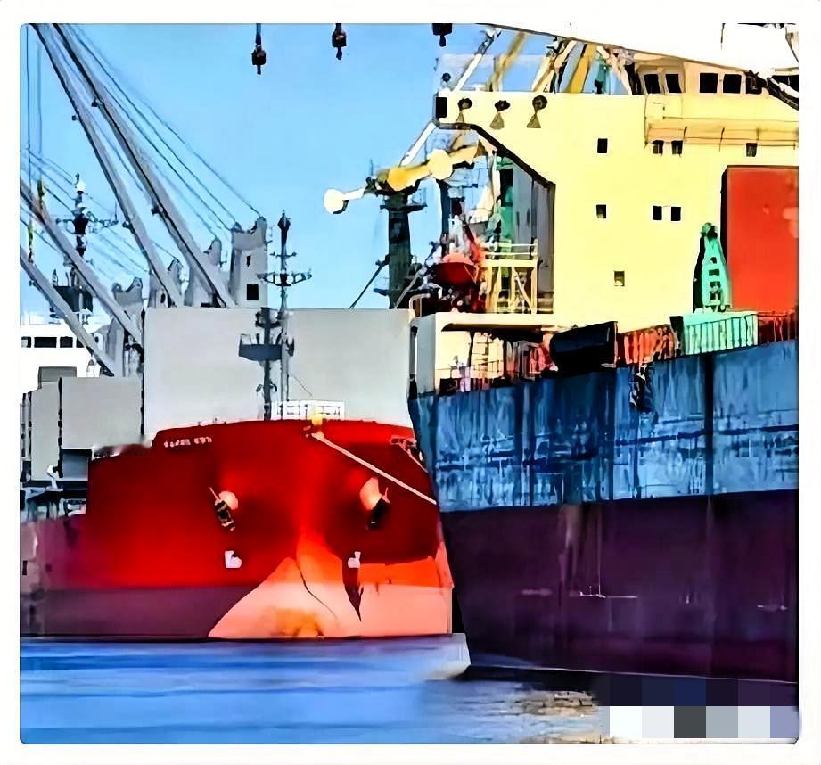 一艘满载6.9万吨巴西大豆运到家门口，被我们原路退回！

巴西农业部说了，中国在