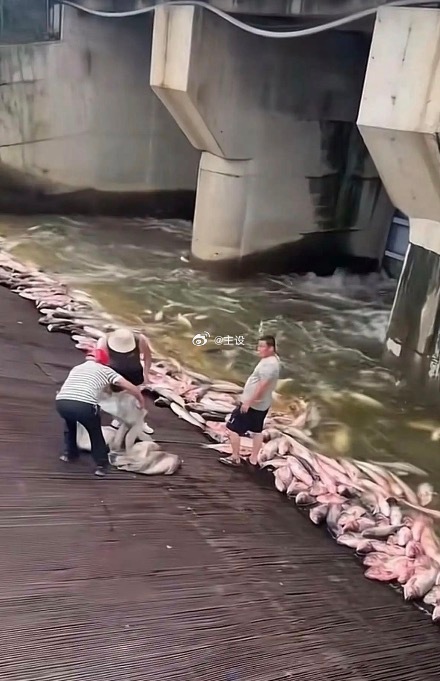 这个场景，我连做梦都不敢做。 