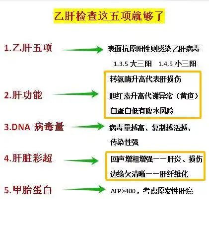 乙肝患者平常都需要做哪些检查？