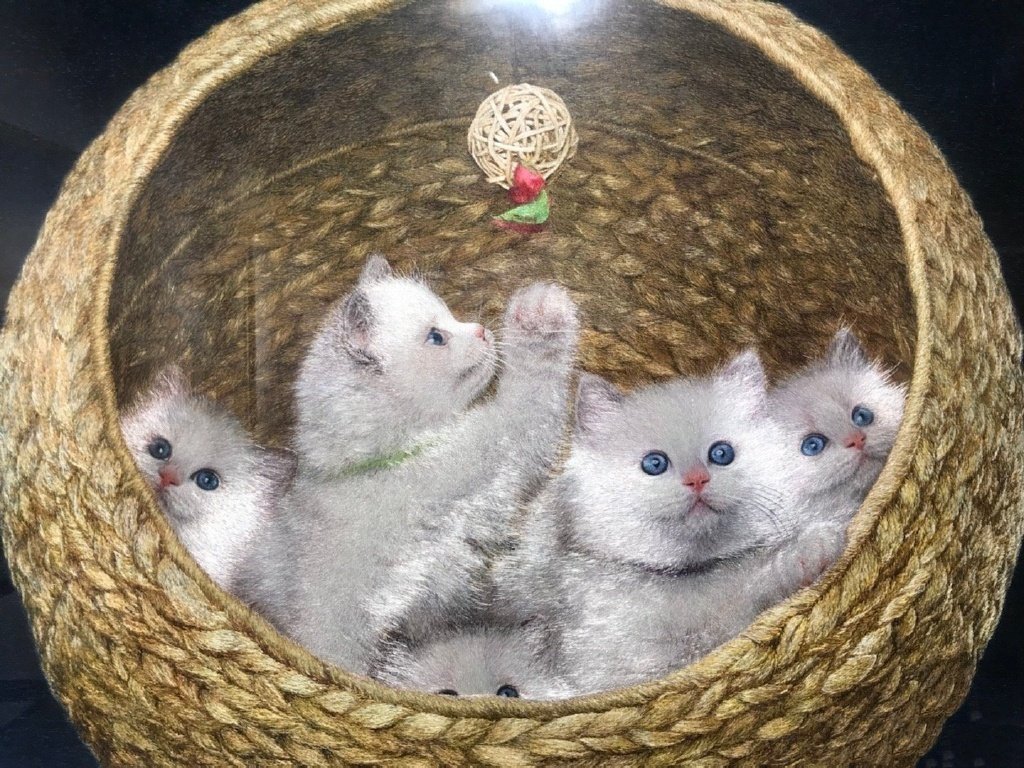 苏绣 