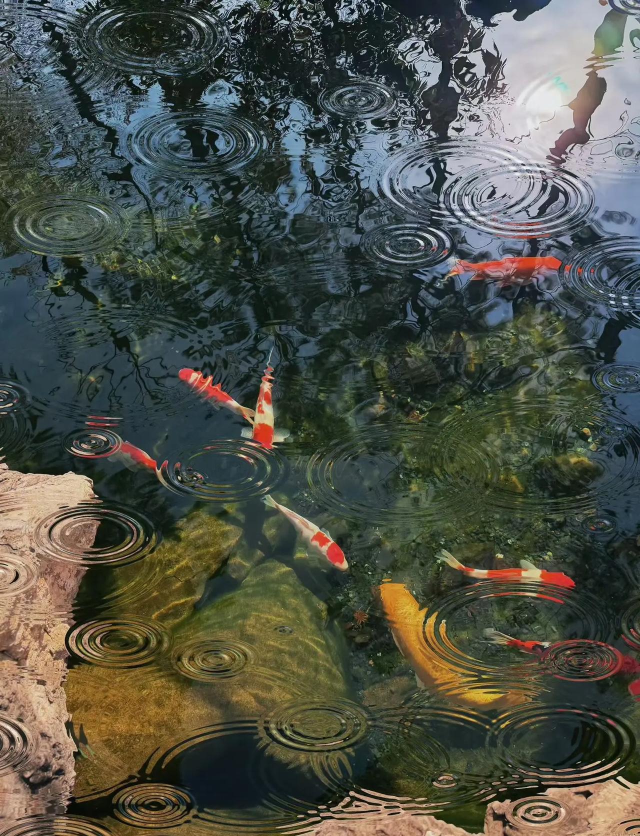 谁知道这是什么 让文物抖起来 国际局势 热门 美国