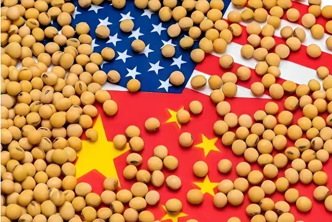别只盯着40万吨美国大豆当普通粮食采购，这笔小额订单本质是经贸谈判的缓冲筹码，背