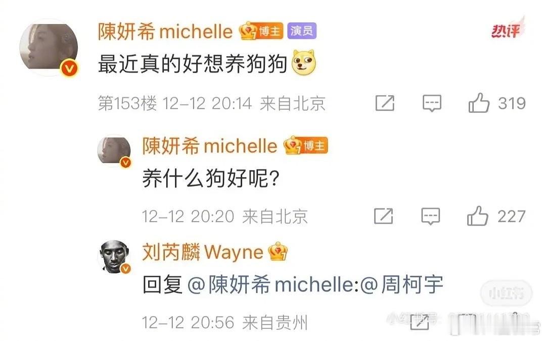 刘芮麟你怎么这样啊🤣 陈妍希说把周柯宇当小狗