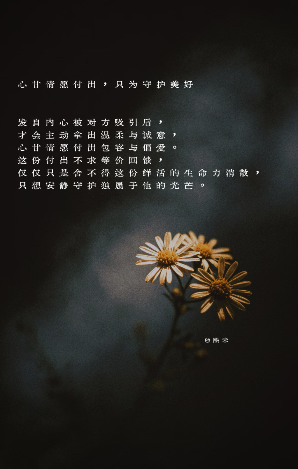 爱情从不是互相填补空缺的价值交换。先拥有独自生活、自愈一切的能力，不渴求恋爱救赎