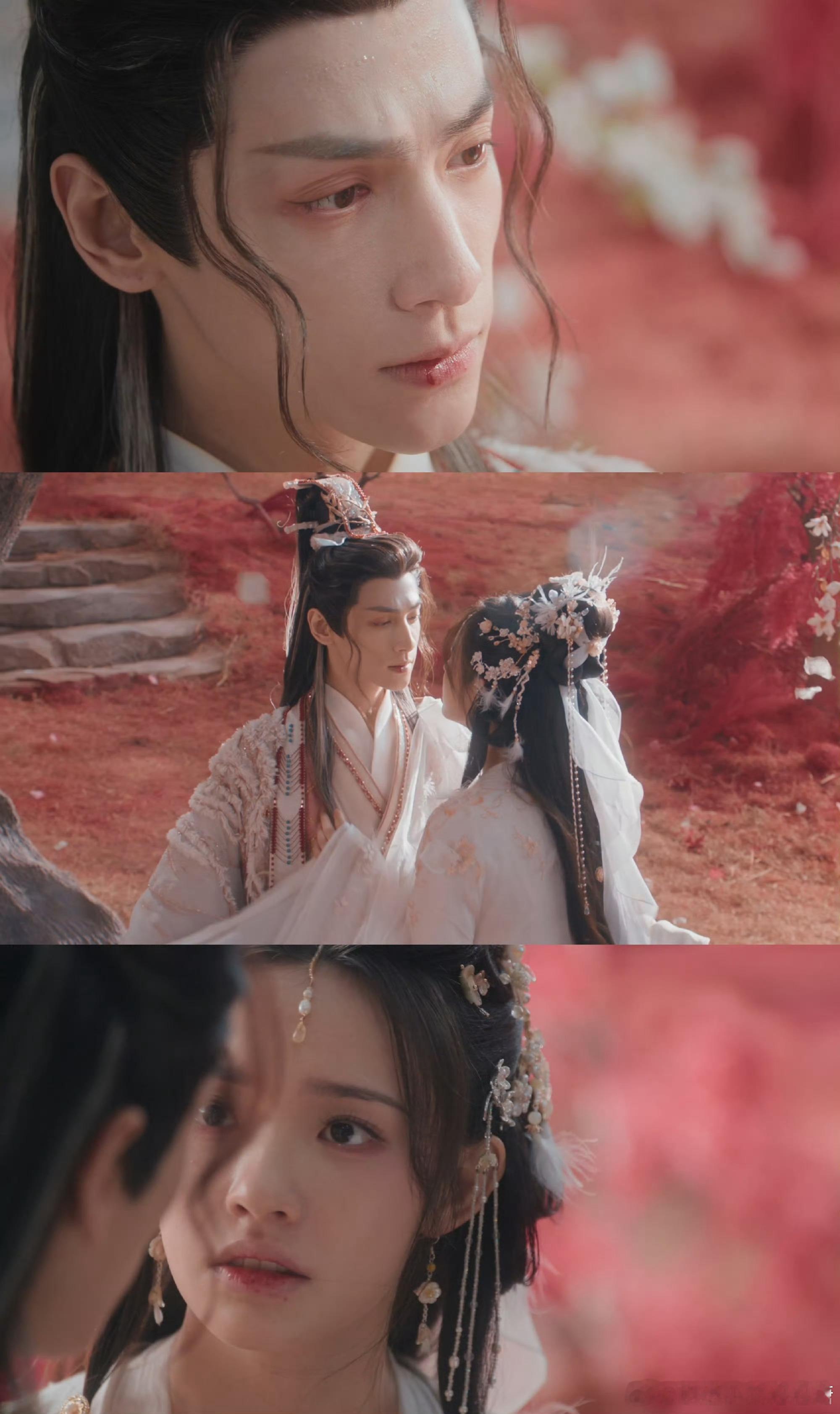 水龙吟花海吻是以血献祭 血吻落花海，林允救赎式献祭，罗云熙心魔挣扎难掩，古风虐恋