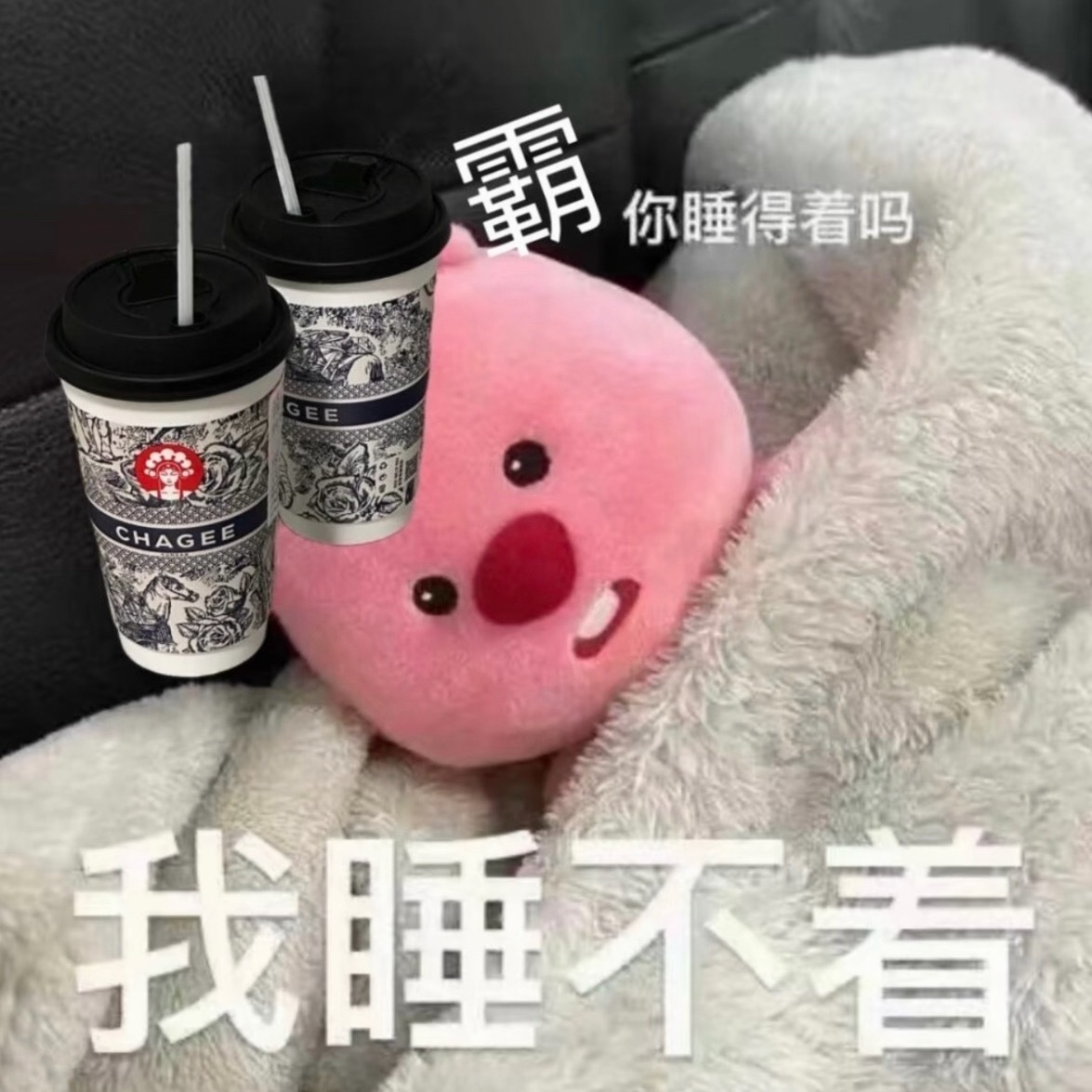 秋天的第一杯奶茶：霸王茶姬喝了现在都睡不着 