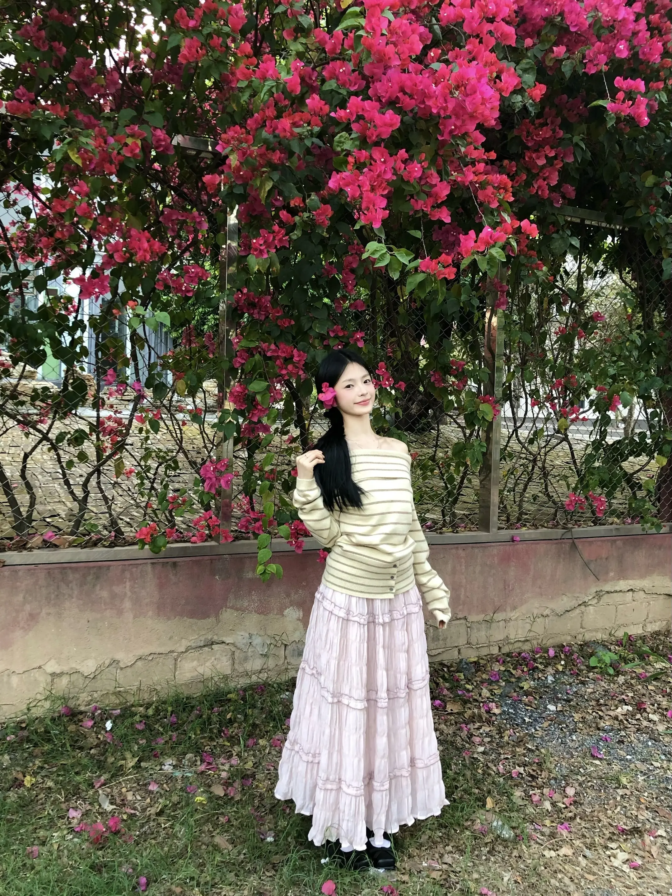 三月的三角梅格外的美