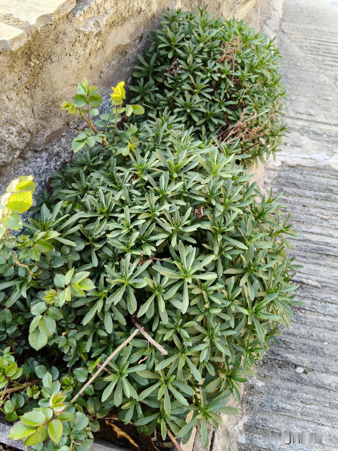 今天看到好几篇文章，
让人们囤粮囤油、囤洗洁精、洗发水、卫生纸……

其实，该囤