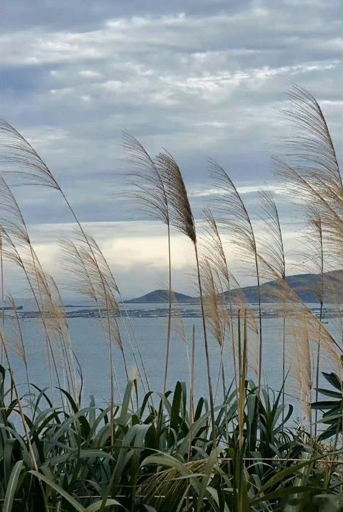 昨日种种，皆成今我，切莫思量，更莫哀。从今往后，怎么收获，怎么栽。——胡适