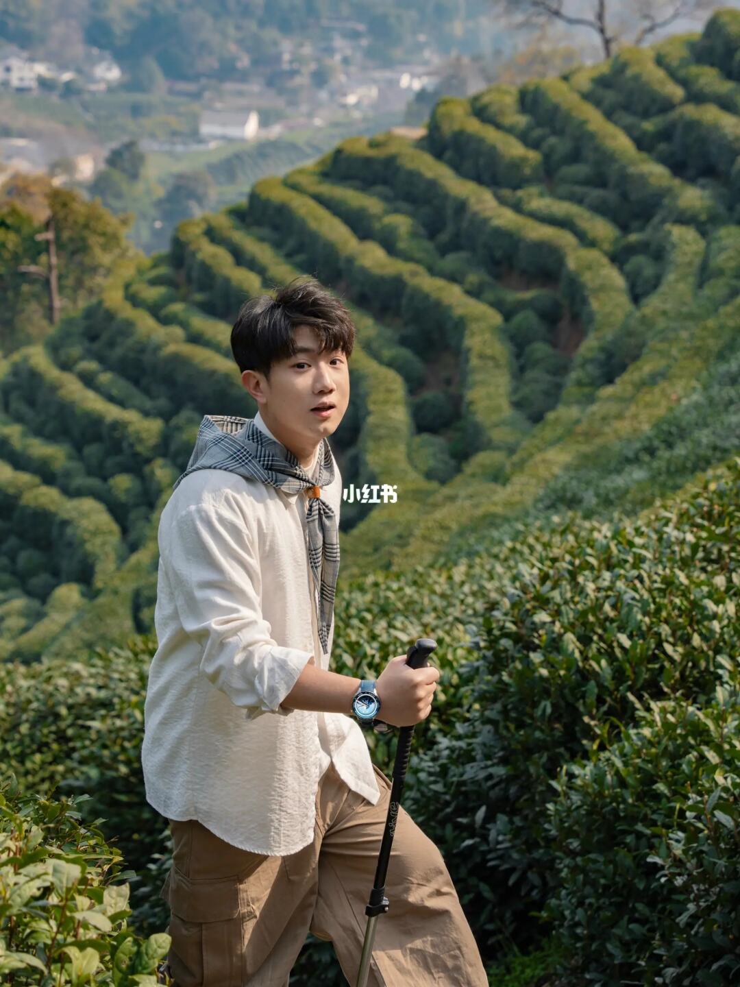 杭州早春茶园徒步🍃茶香绿意太治愈了