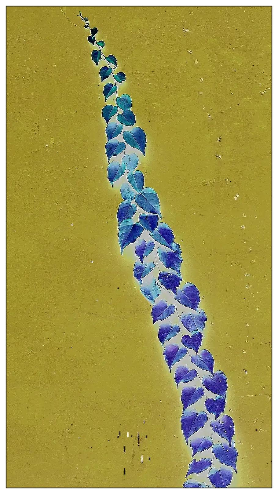 小品