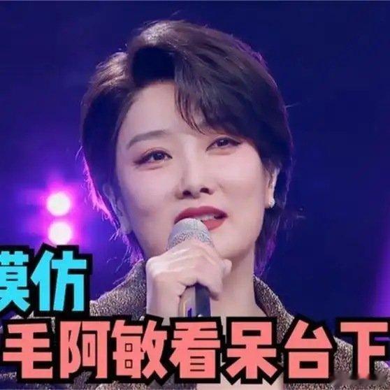 《玲花模仿毛阿敏太像了！一出场把台下曾毅看呆了，众星模仿毛阿敏》播放量：2.3万