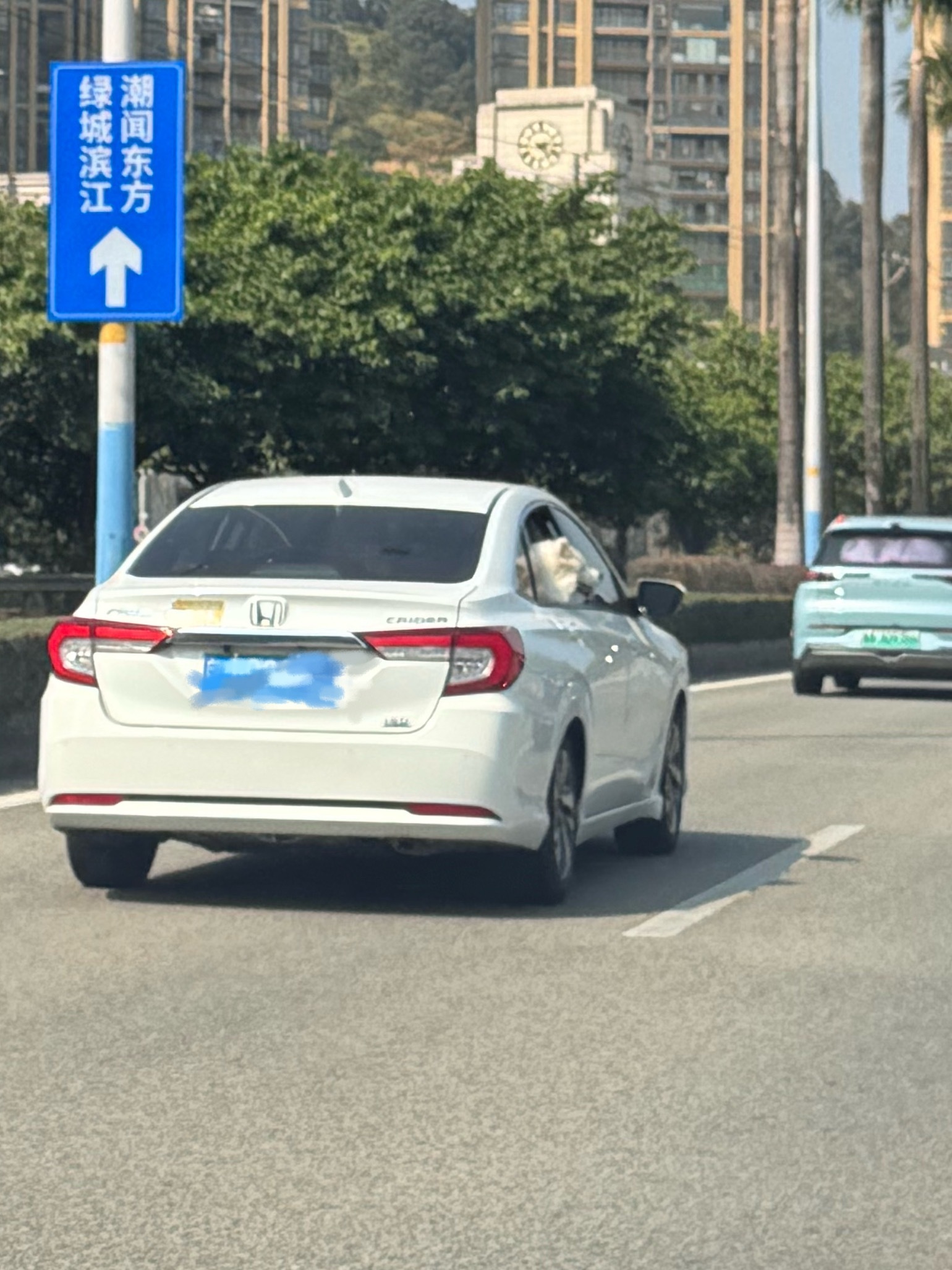 生活手记 耶耶！ 