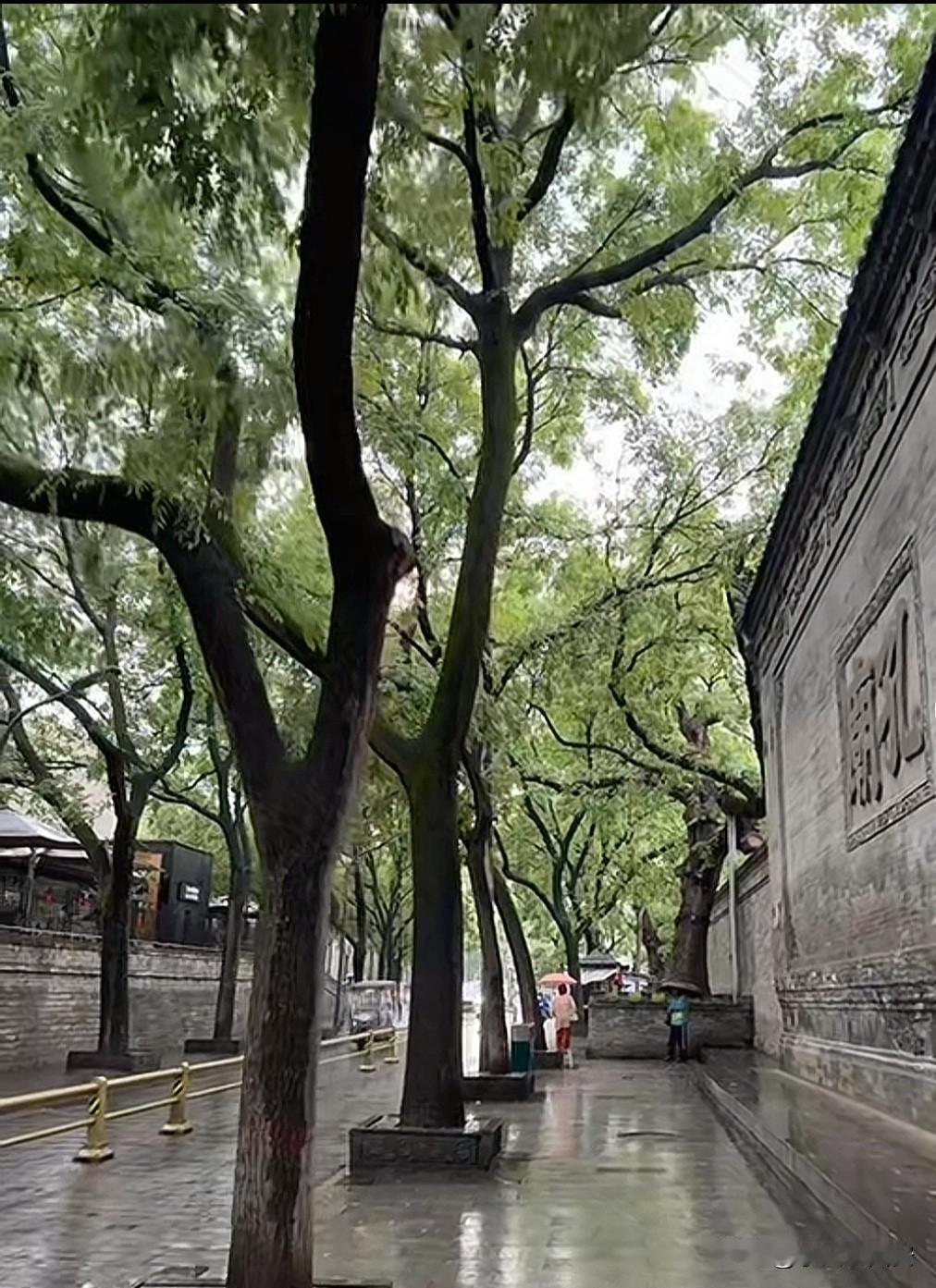 6月21日端午小长假最后一天

西安城里又迎来了新的降雨过程

西安城墙文昌门到