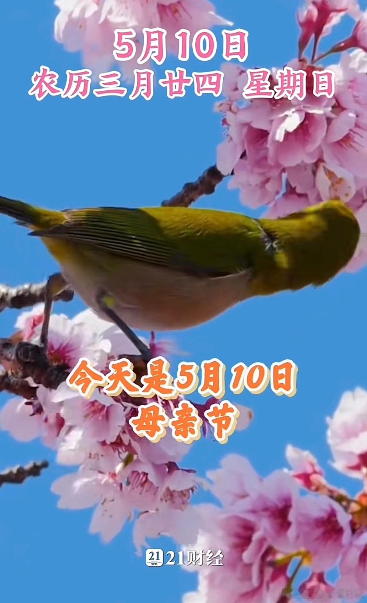 时光缓缓，母爱暖暖🌿 这一生的温柔与浪漫，都该留给母亲。祝天下所有妈妈，无病无