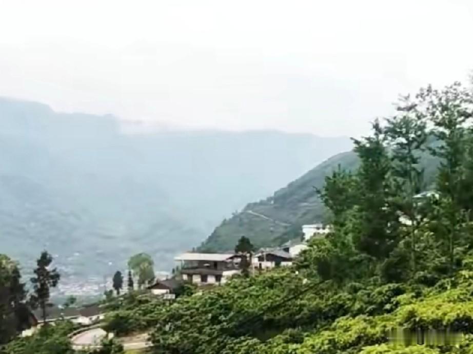 人这一生，
无需凡事都争个胜负。

许多事看得淡些，
许多人随缘便好。

日子并