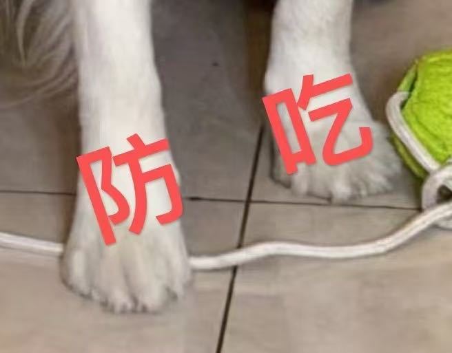 谁想舔 ​​​