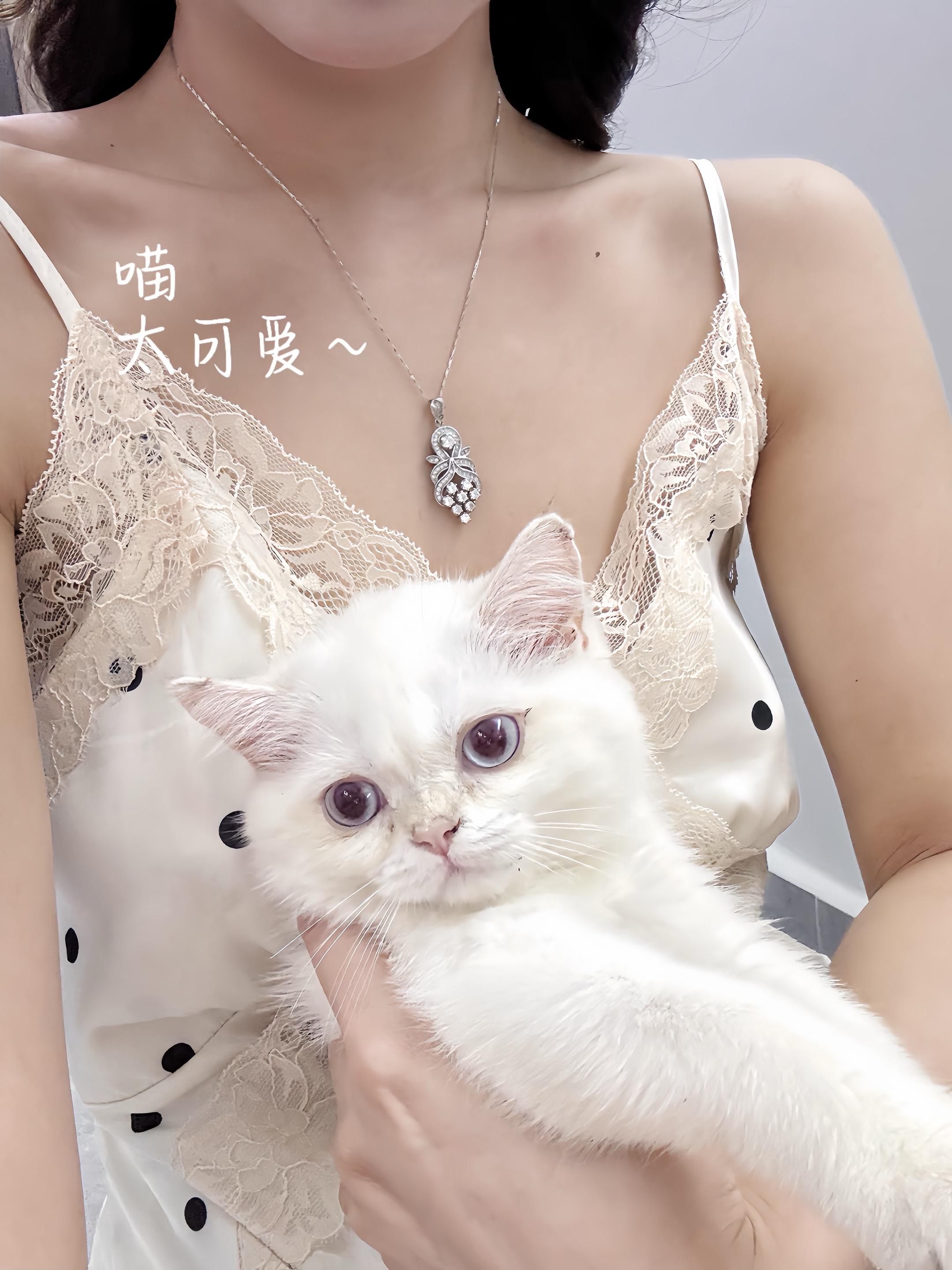 爱上自己的那天，人生才算真正的开始