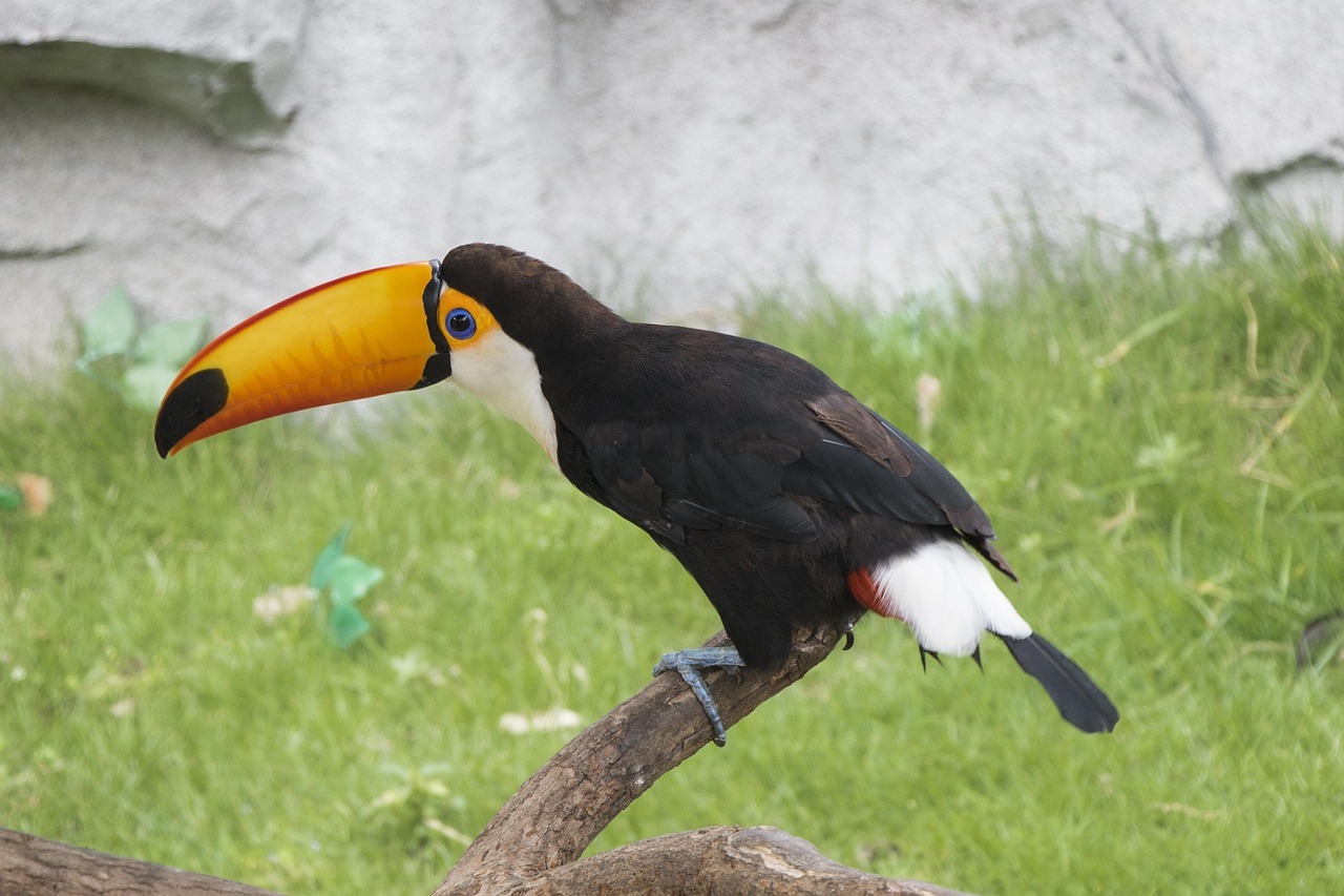 2026世界人工智能大会定档7月在上海国家会展中心，这是连续第三年落沪。往届数据