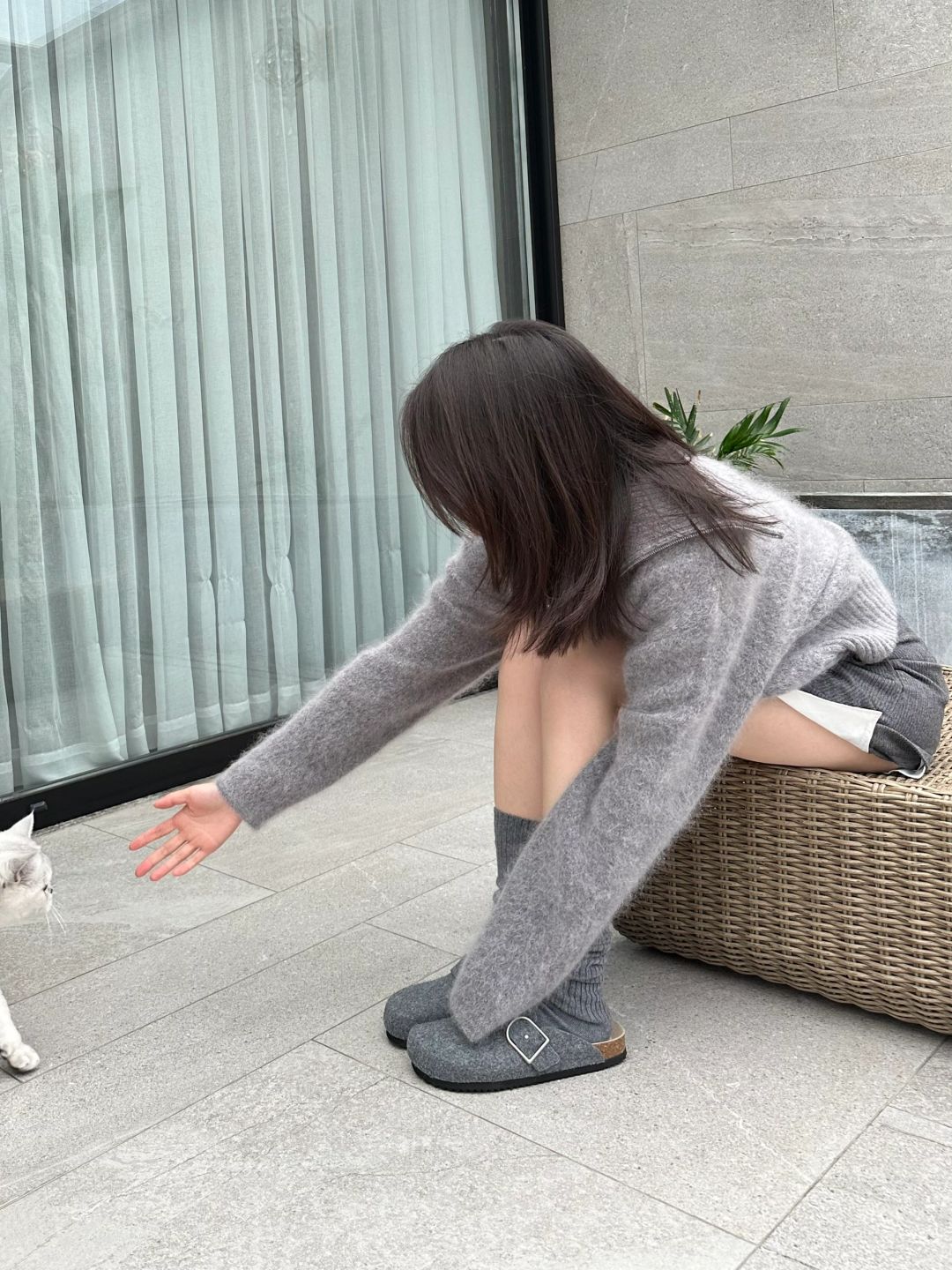 嗨 修狗修猫