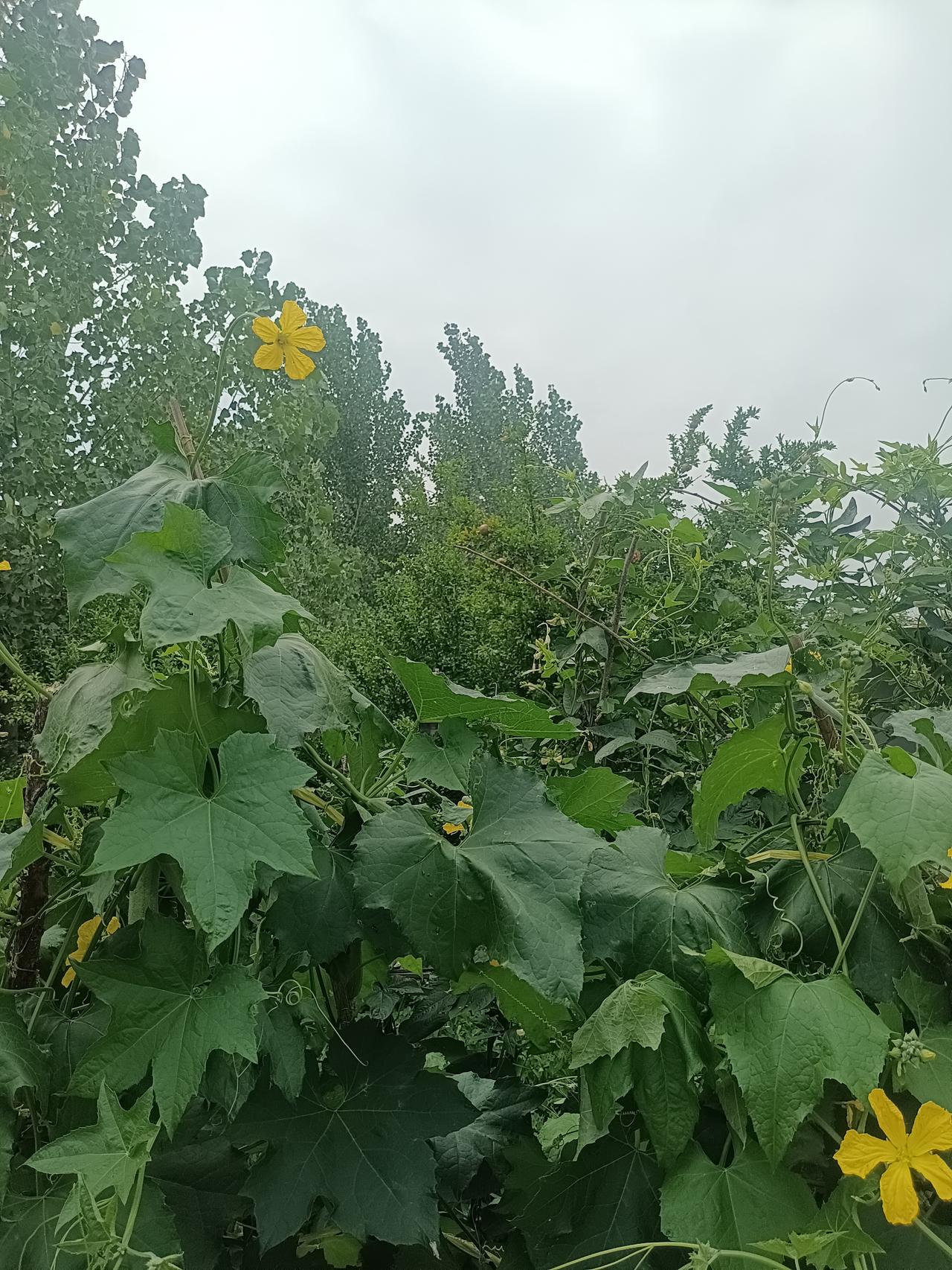 一段非常通透的话：“凡是拿不到你好处的人，对你的态度底色永远是恶。这股恶，不是为