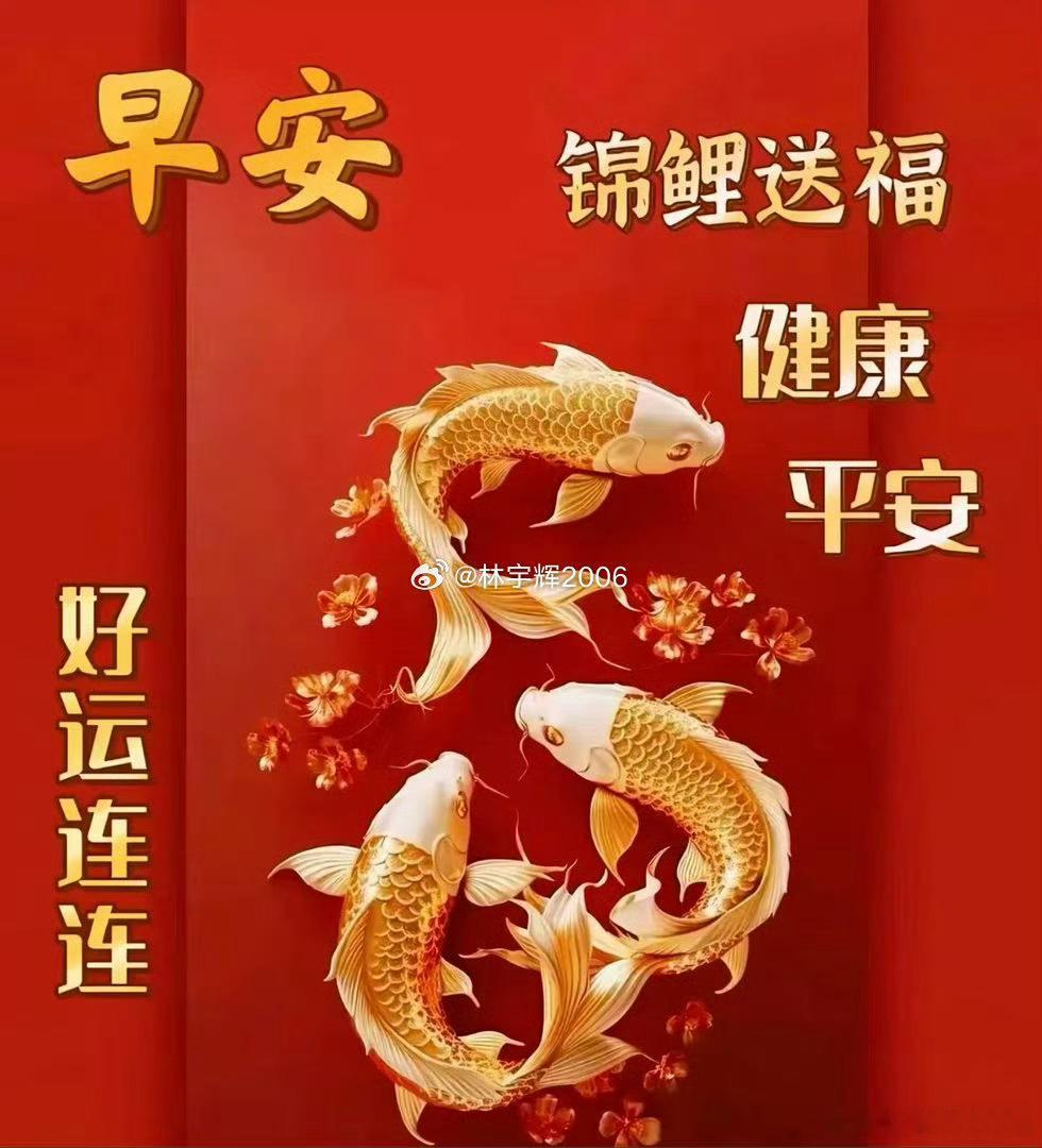 今天周五，大家早上好！全体集合了～～～起床的赶紧动起来，免费点赞+评论666安排