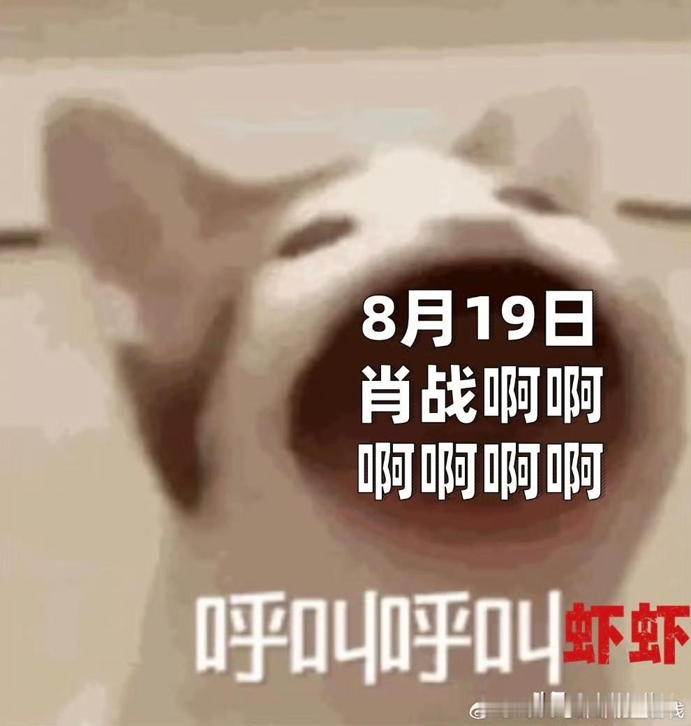 香港变成了肖战痛城，等待巨星到来