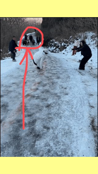 幸灾乐祸！
一群摔过的人，
蹲在那儿看着别人怎么摔！