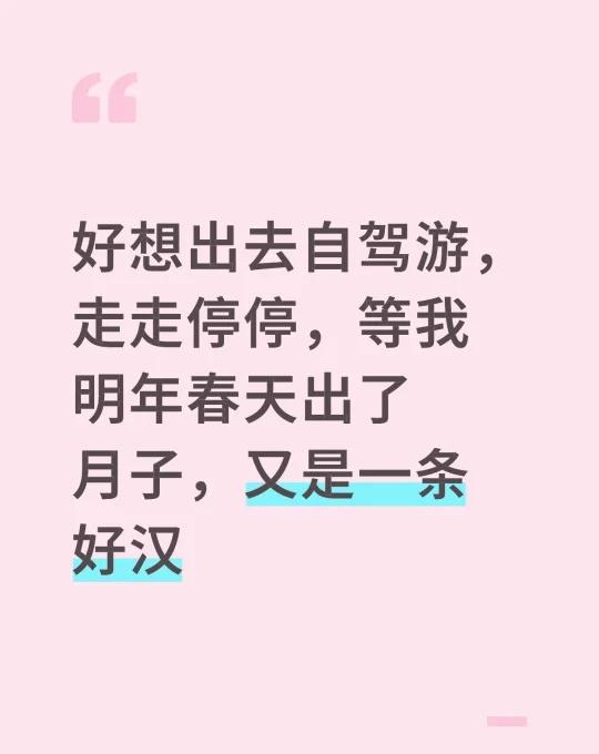 好想出去自驾游，走走停停，等我明年春天出了月子，又是一条好汉自驾游 在路上