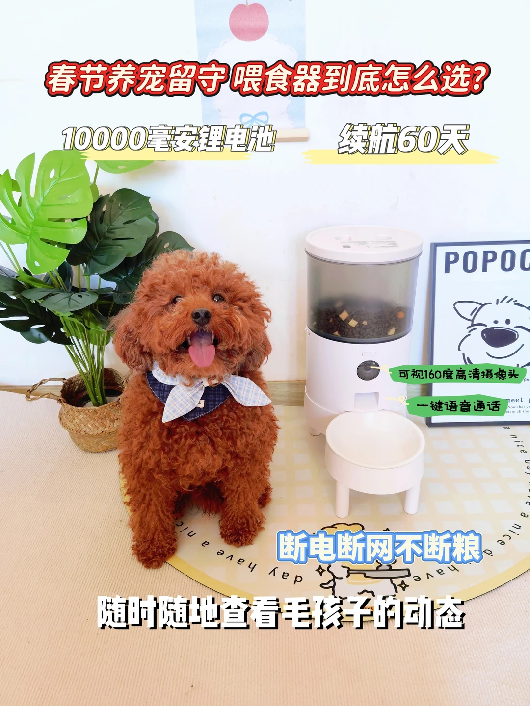 谁懂啊！出差一周我家狗胖了这喂食器太省心