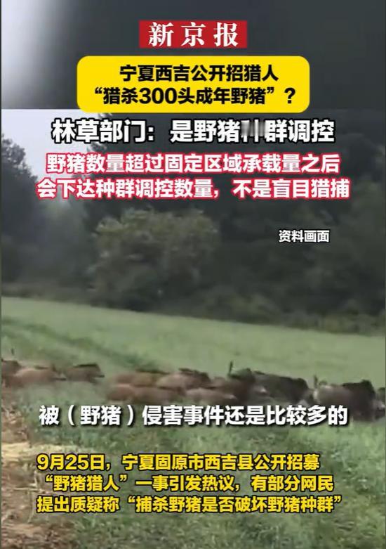 “靠色诱？”宁夏西吉野猪泛滥，为了调控野猪数量，公开招猎人“猎300头成年野猪”