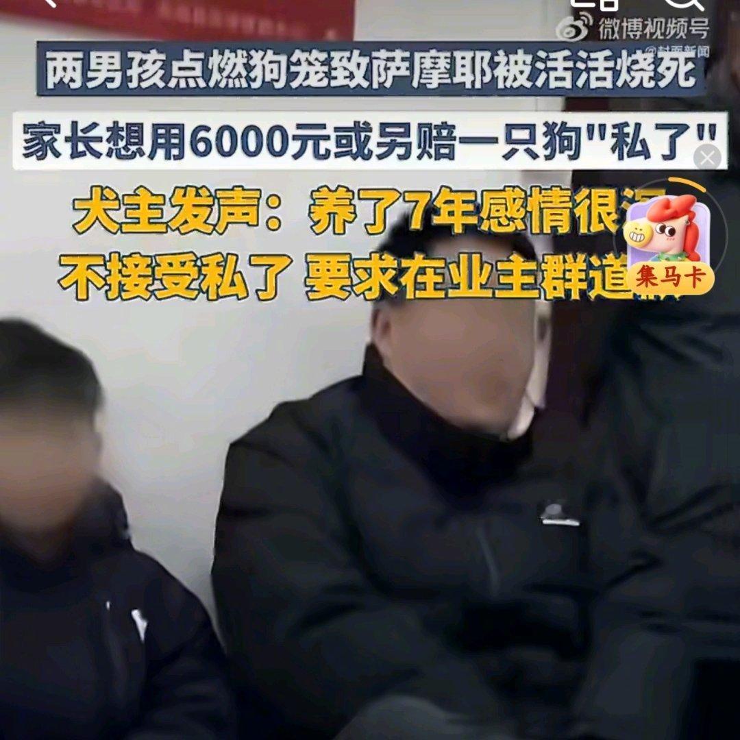 太揪心！连云港小区惊现残忍一幕：两个男孩竟用烟花，将一只养了7年的萨摩耶活活烧死