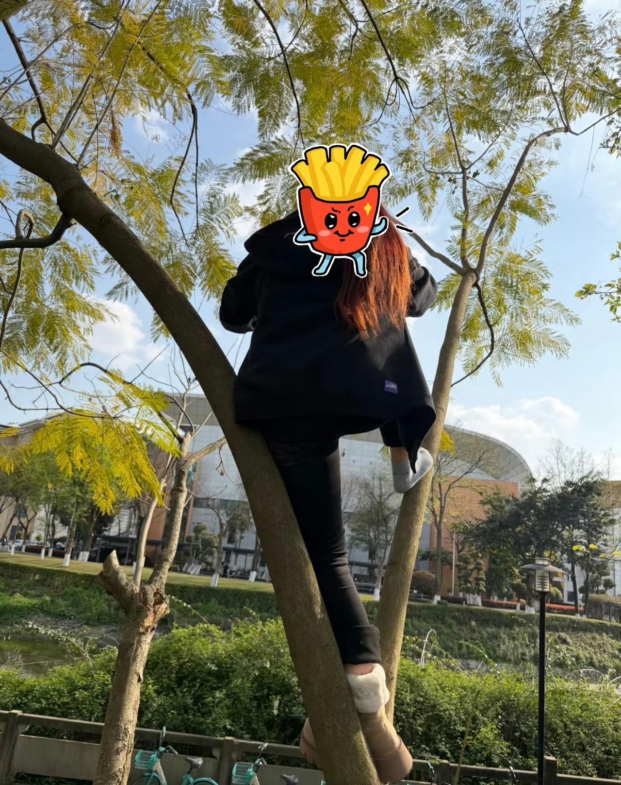 知道这个爬上树的人在干嘛吗？[捂脸]
他不是让别人给他留下春日照片的大妈，他爬这