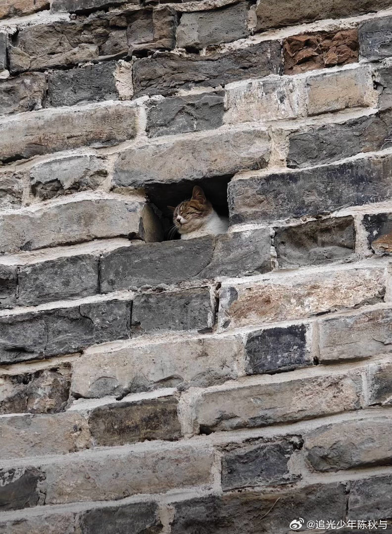 景点真正的人气王be like当你以为到了旅游景点就会开始拍风景校园v计划开学季