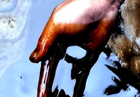 火葬场产生的“尸油”去了哪里？很多人不知道，尸体在燃烧的时候会产生“尸油”，但这